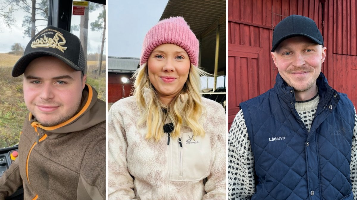 Alla bönder i Bonde söker fru 2025