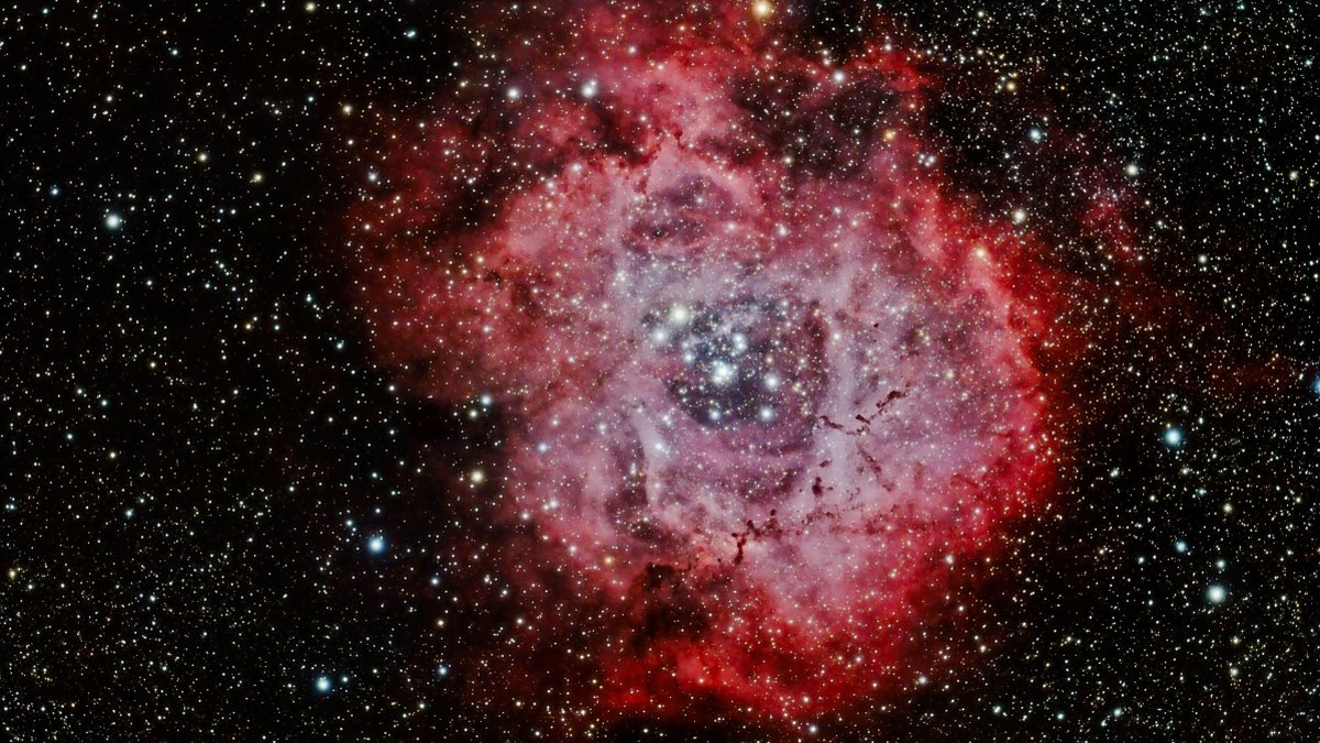 Lördag 2 september – läs dagens horoskop