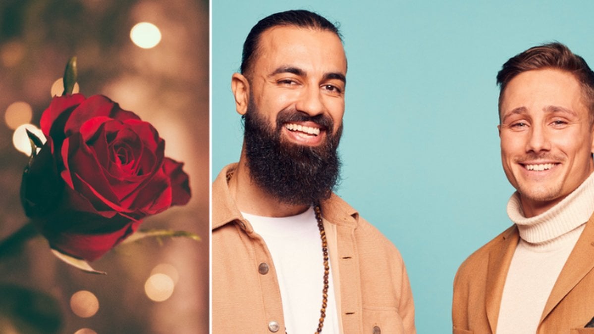 Bachelor 2022: Så heter tjejerna på Instagram