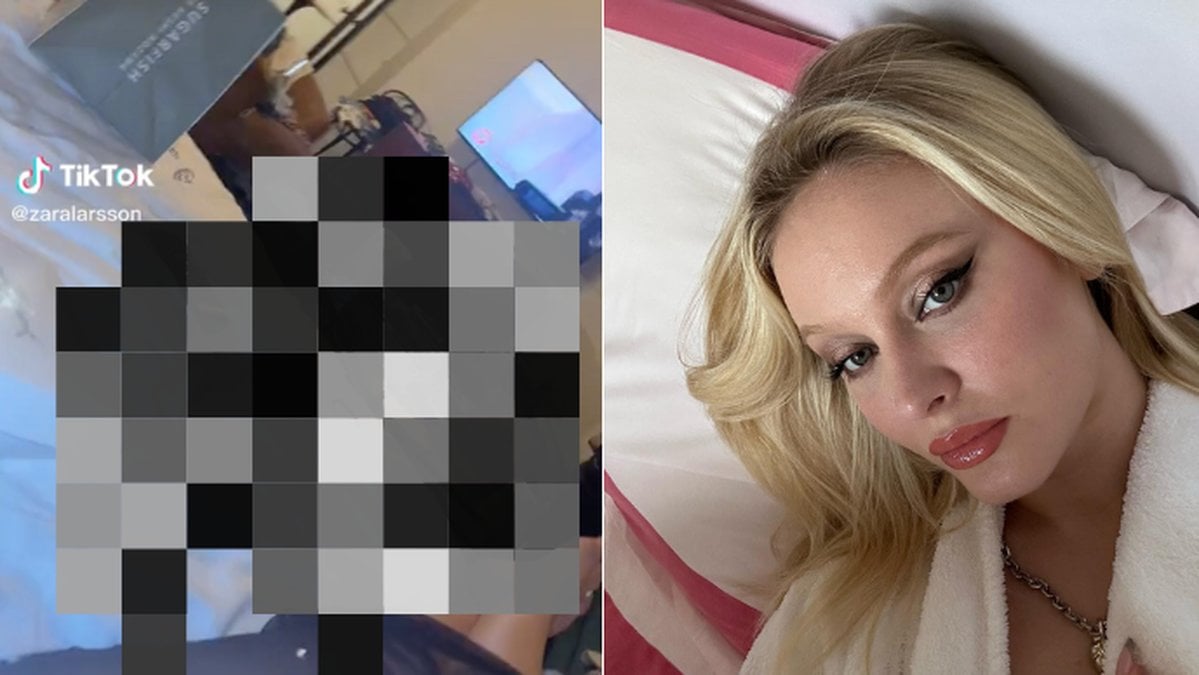 Fansens upptäckt i Zara Larssons video