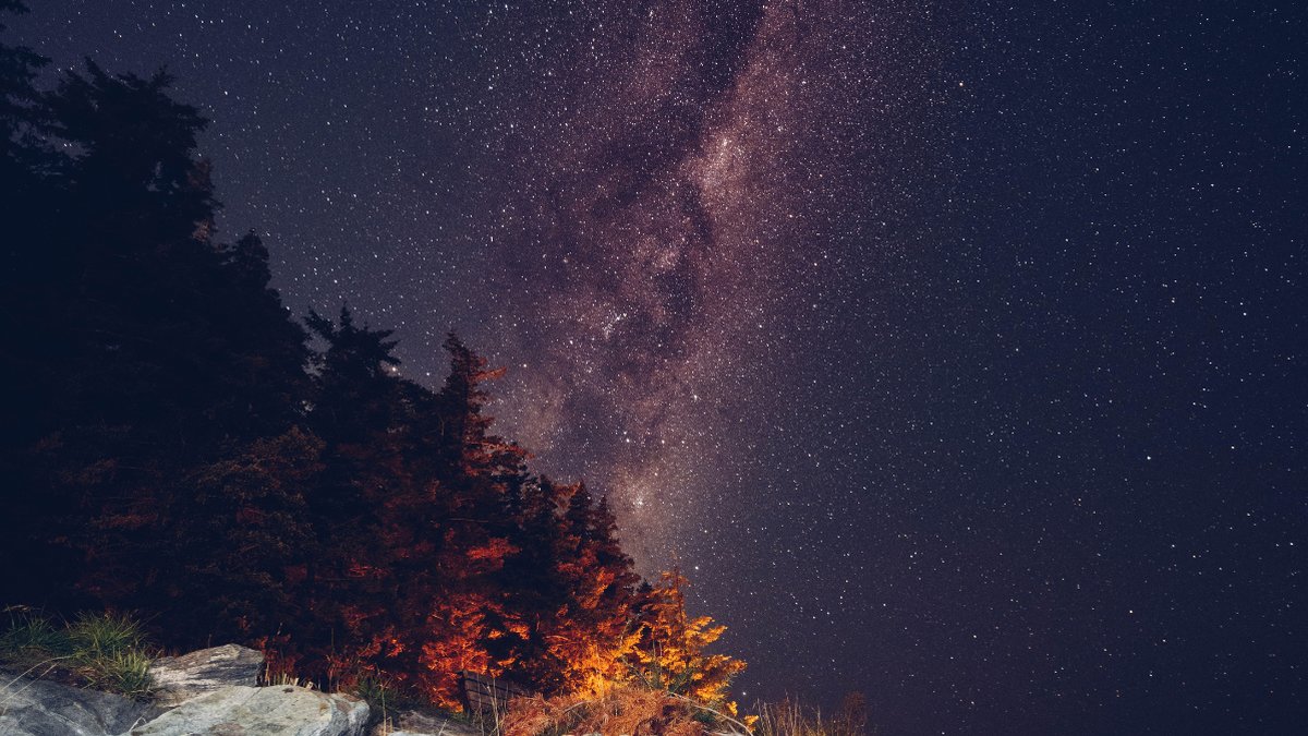 Måndag 28 augusti – läs dagens horoskop