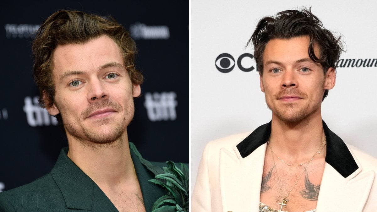 Vad betyder Harry Styles tatuering?