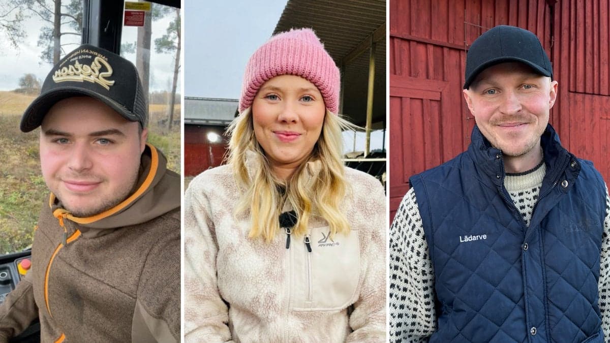 Alla bönder i Bonde söker fru 2025