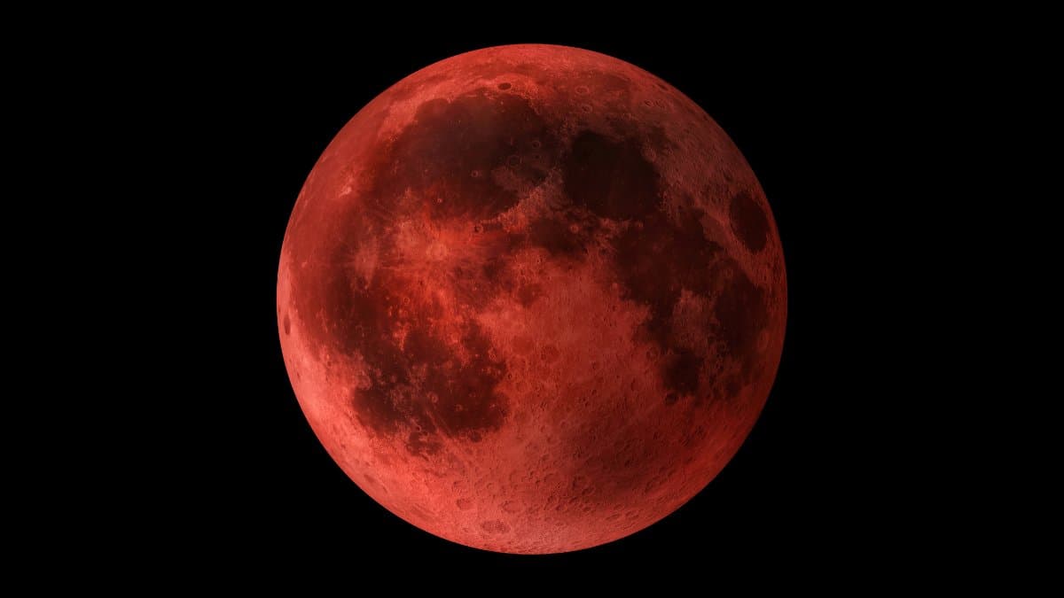 Det kommer vara en blodmåne i mars 2025